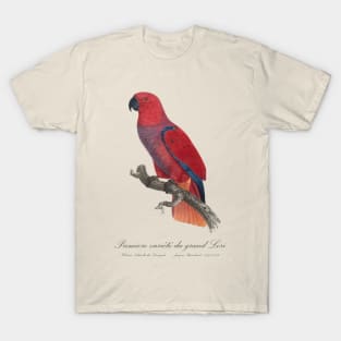Eclectus Parrot / Premiere variete du grand Lori - 19th century Jacques Barraband Illustration T-Shirt